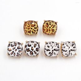 Stud Earrings Square Alloy Animal Colors Print Leopard Dog For Women