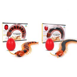 ElectricRC Animals Rc Remote Control Centipede Tricky Creative Toy High Simulation Animal Model Electronic Puzzle Interactive Cat Amuses Children 230613