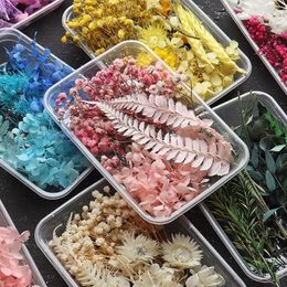 Dried Flowers 1Box Dry Plants for Epoxy Resin Casting Mold DIY Aromatherapy Candle Molds Crafts Tools Jewelry Making Accessories 230613