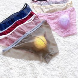 Underpants Sexy Men Underwear Erotic Temptation Lace Mesh Sheer Bulge Pouch Bikini Briefs Thongs Male T-back Transparent Underpant Fashion