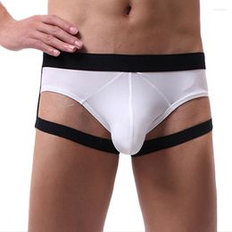 Underpants Men's Sexy Ice Silk BSMD Ankle Bracelet Briefs Penis Large Pouch Underwear Low Rise Exotic Mini Mankini
