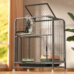 Cat Carriers Household Indoor Cages Villa With Toilet Super Large Free Space Cage House Wrought Iron Bold Dog Pet Supplies