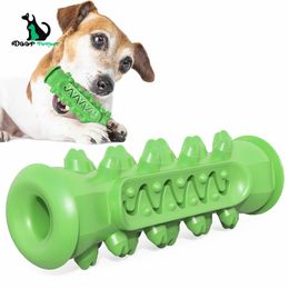 New Dog Toy Grinding Rod Bite-Resistant Tooth Cleaning Bone Toothbrush Dog Toy DT-004