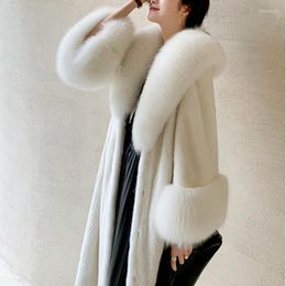 Pelliccia da donna Collo caldo invernale Cappotto di visone femminile Stile coreano Temperamento Moda Slim Long Trim Donna Furry 2023