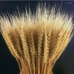 Decorative Flowers 50Pcs Real Wheat Ear Natural Dried Gift For Girlfriend Christmas Decoration Wedding Ideas Bridal Bouquet Pampas