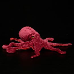 Plush Dolls Soft Octopus Stuffed Toy Lifelike Sea Animal Octopuses Plush Toys Christmas Gifts For Children Boys Girls 230614