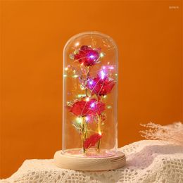 Decorative Flowers LED Enchanted Galaxy Rose Eternal 24K Gold Foil Artificial With String Lights In Dome For Wedding Valentine's Day