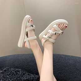 Sandals Summer Platform Women's All-match Thick Soled Open Toe Soft Sole Leisure Roman Beach Shoes Fashion Open-toed Sexy