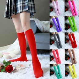 Women Socks Fashion Sexy Candy Colour Fishnet Stockings Knee High Soft Nylon Elastic Girls College Style Long Leg