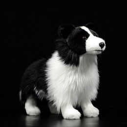 Plush Dolls 25cm Lifelike Border Collie Plush Toys Soft Puppy Stuffed Animal Dolls Real Life Dog Plush Toys For Kids Christmas Gifts 230614