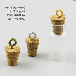 1ML Empty Mini Cute Glass Bottle With Eye Hook 1CC Refillable Small Vials Pendant Charm Bottlehigh qty Jtjkj