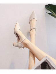 Sandals 2023 Spring Summer Women Square High Heels Pointed Toe Double Ankle Strap Party Dress Office Buckle