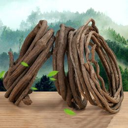 Garden Decorations 500-600CM Long Alive Tree Branches Rattan Green Leaf Flower Decoration Wall Ceiling Shape Real Vine Branch Wet Tree Vine Setting 230614