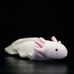 Plush Dolls Soft Lifelike Axolotl Plush Toy Realistic Cute Axolotl Ambystoma Mexicanum Stuffed Animal Toys Gifts For Adults Kids 230614