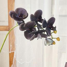 Decorative Flowers Black Grey Orchid Branch Living Room Decoration Artificial Real Touch Plastic House Decor Mom Gifts