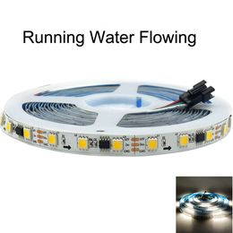 DC 12V 5m WS2811 IC Pixel LED Strip light 5050 Natural White Addressable Running Water Flowing Horse Race LAMP 60LED/M tape lamp