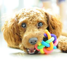 5cm Colourful Rainbow Pet Bell Ball Dog Toy Cat Toys Pet Dog Ball Bell Chew Toys Play Teeth Training Pet Products