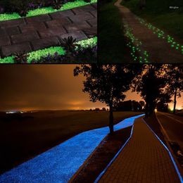 Garden Decorations 200PCS Luminous Glowing Stone Pebble (Green Blue Orange Purple Each Color ) Decoration