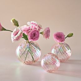 Vases Iridescent Ball Decoration Home Living Room Flower Pot for Interior Glass Vase Tabletop Plants Decor 230615