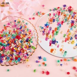 Decorative Flowers 100/500pcs Real Dried Diy Epoxy Resin Candle Making Jewellery Decor Party