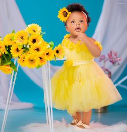 Girl Dresses Lovely Yellow Flower For Po Shoot Floral Appliqued Kids Birthday Party Gowns Toddler Baby Wedding Guest