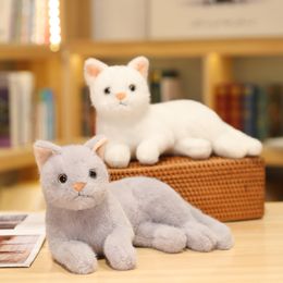 Super cute simulation cat doll cat doll Puppy cat Stuffed toy doll home furnishing gift