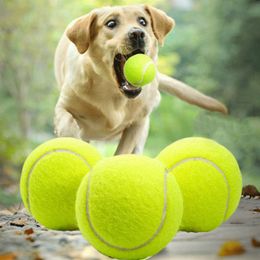 Paw Paw Dog Toys Tennis Balls Bite-resistant Chew Bouncy Catss Puppy Teddy Training Product Pet Supplies