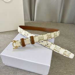 Designer Genuine Leather Belts Fashion Women Dress Belt Top Quality Gold Silver Metal Hardware Classic Waist Belts 2.5cm with Box