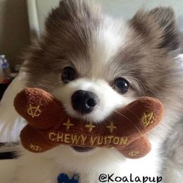 Plush Pet Toy Dog Puppy Toys Pet Supplies Pets Chew Toy Squeak Cleaning for Small Medium Dog Accessories Training Plush Pet item