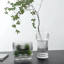 Vases Clear Glass Transparent Flower Plant Bottle Pot Indoor Outdoor Home Living Room Garden Decoration Desk Decors