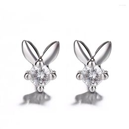 Stud Earrings 925 Sterling Silver Crystal Animals Cute Earring For Women 2023 Fashion Jewellery Brincos Joyas De Plata