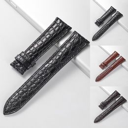 Watch Bands Real Alligator Watch Strap Genuine Leather Watch Bands For Men Or Women Watch Accessories 12 - 24mm Not Included Buckle 230616