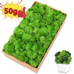 Decorative Flowers 50/30/10g Artificial Green Plants Eternal Life Moss Grass Home Garden Decoration Mini Landscape Fake Flower DIY Crafts