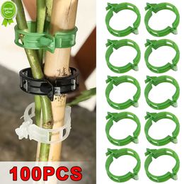 New 100/1Pcs Plant Support Clips Reusable Grafting Fixing Buckle Greenhouse Vegetable Tomato Clip Holder Gardening Plant Accessories