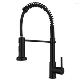 Kitchen Faucets Faucet Black Sink Mixer Tap Rotation Taps Pull Down Lead Free Copper