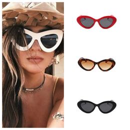 Polarised Womens Sunglasses Driving Cycling Eyeglasses Bicycle Glass Man SPORT Glasses WIND Ladies Round Sunnies Cat Spectacles