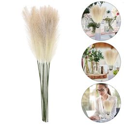 Decorative Flowers Flower Dried Bouquet Reed Pampas Pompous Bridal Fake Tail Faux Bunch Dry Decor Realistic Brunch Floral Tall Arrangement