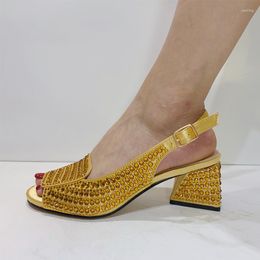 Обувь для одежды 2023 Итальянский дизайн нигерийский самый последний узкий узкий и перекрестный стиль в золотом цвете для вечеринки