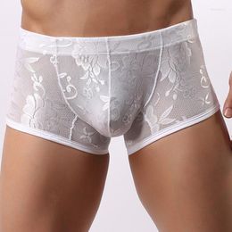 Underpants Sexy Men's Lace Boxers Underwear Sheer See Through Boxer Shorts Erotic Trunks