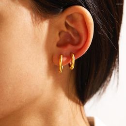 Hoop Earrings 2PCS Stainles Steel Small Women Men Gold Silver Colour Huggie Round Circle Cartilage Piercing Jewellery