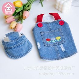 Dresses Denim Skirt Plush Pet Dog Clothes Flower for Dogs Clothing Cat Small Print Cute Autumn Winter Blue Fashion Boy Girl Chihuahua