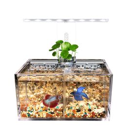 Tanks Acrylic Fish Tank Free Water Exchange Isolation Box with Led Desk Lamp Water Pump Philtre Aquarium Office Desktop Decoration