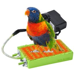 Parts Parrot Perch 5w Thermostatic Flat Bird Heater for Cage Durable Constant Temperature Pet Perch Warm Support for Hamster