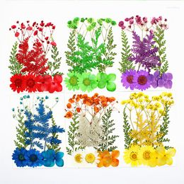 Decorative Flowers 10 Pack Embossed Real Flower Pressed Material Petal Face Makeup DIY Decoration