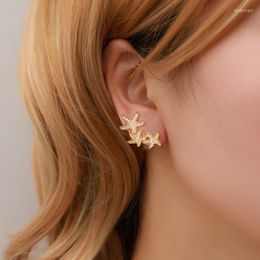 Hoop Earrings Golden Starfish Clip Without Holes In Designer CZ Crystal Star Ear Clips Fake Drilling Ladies Luxury Summer Jewellery