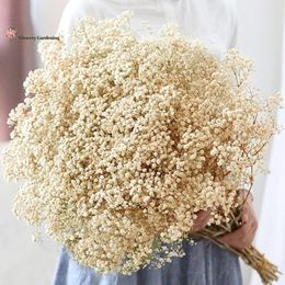 Faux Floral Greenery 60g Gypsophile Dried Flowers Babys Breath Bouquet Valentines Day Natural Flower Branches Nordic Home Decor Wedding Accessories 230617