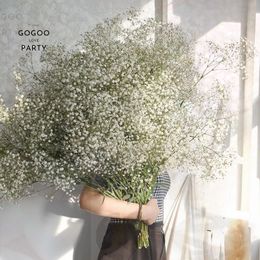 Faux Floral Greenery Dried Baby Breath Flowers Bouquets Colorful White Gypsophile Natural Dry Flower Gypsophila Wedding Decoration Nordic Home Decor 230617