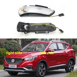 For MG ZS / Roewe RX3 Car Accessories Rear View Turn Signal Light Side Mirror Rearview Indicator Turning Lamp