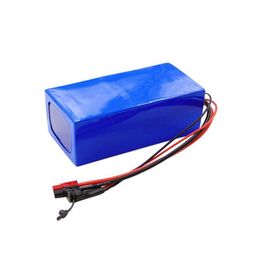 Customzied 48V 12Ah 15Ah 18Ah 21Ah 24Ah Power Battery Pack for Ebike E-scooter Cargo with Charger