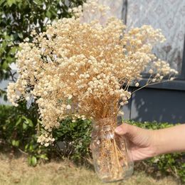 Faux Floral Greenery Dried Baby Breath Flowers Gypsophile Natural Dry Flower Gypsophila for Wedding Birthday Party Home Office Decoration Nordic 230617